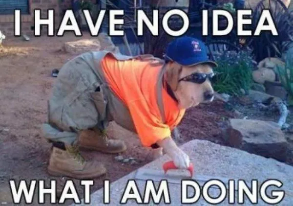 Dog Contractor Meme